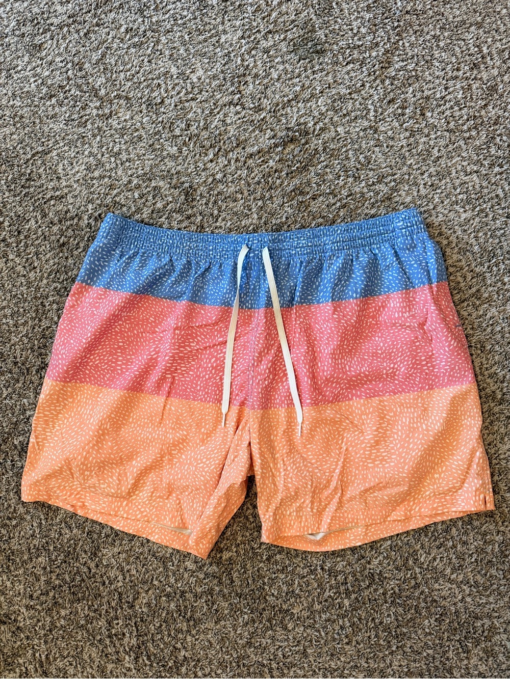 Chubbies lined swim trunks 5.5 inch inseam